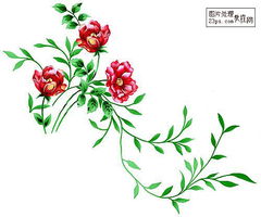 荼蘼花开什么意思
