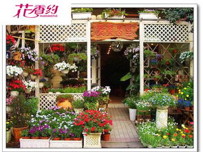 同城鲜花配送花店