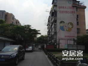 龙柏四村