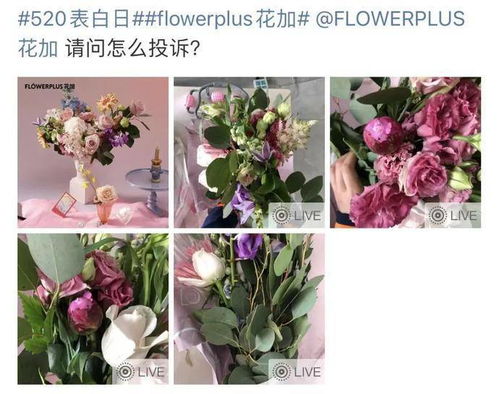 网上买花在哪里买啊