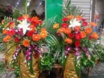 花递鲜花店是真的吗