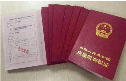 房产保全后怎么查询