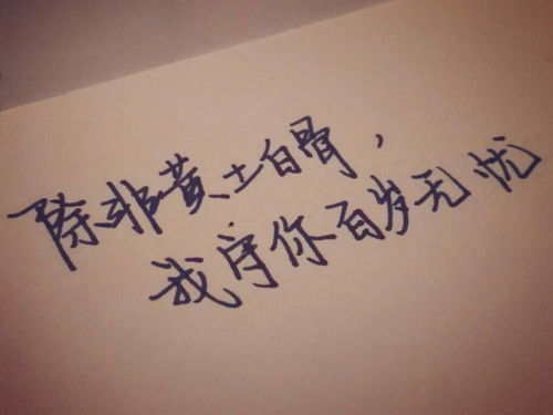 贺卡情话短句干净撩人