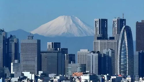 日本房产怎么要回来