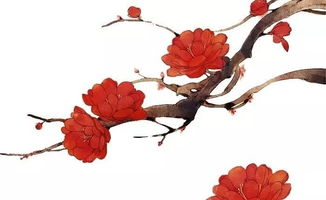 象征清冷高贵的花