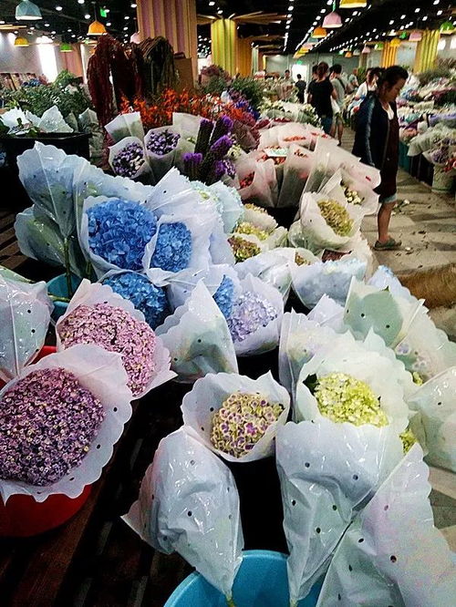 花店批发在哪里进货 花店批发在哪里进货