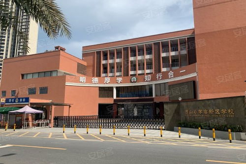 朱闪闪怎么评价房产