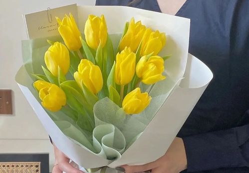 橙色郁金香的花语是什么