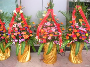 插花花篮图片