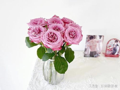 玫瑰的花语与寓意是什么