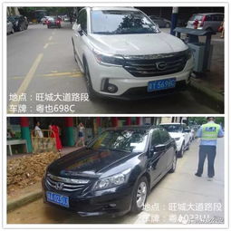 从化有多少台汽车