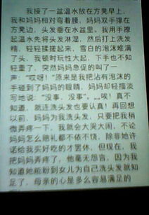 仙人掌作文300字三年级