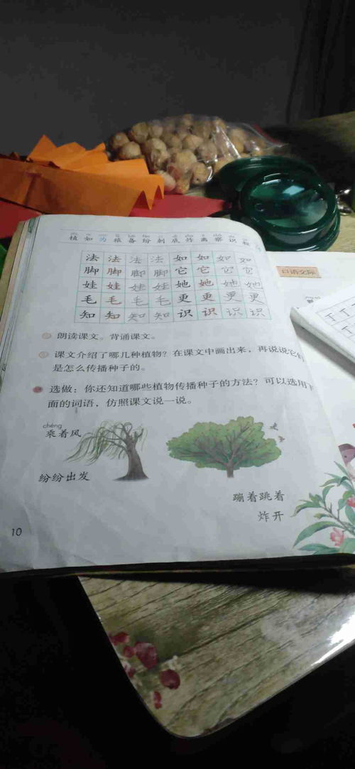 植物传播种子的方法句子