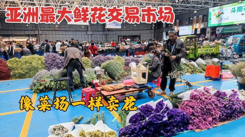 深圳最大鲜花批发市场