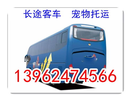 聊城到泰安汽车票多少钱