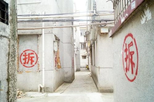 拆迁后房产怎么分