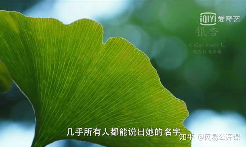 国外植物网站