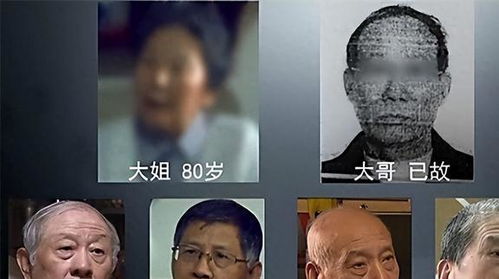 哥哥去世的房产怎么分