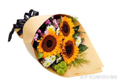 教师节送男老师什么花