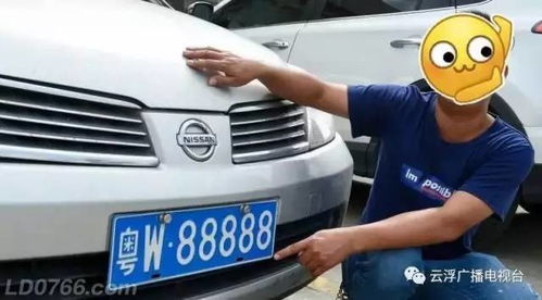 陆丰汽车过户上牌多少钱