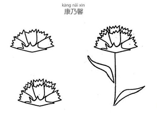 康乃馨简笔画简单又漂亮