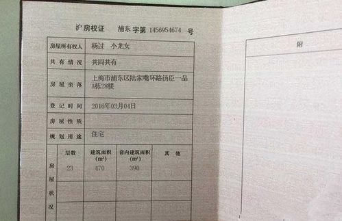 共有房产怎么登记
