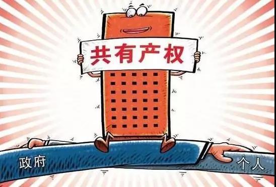 怎么叫房产共有人