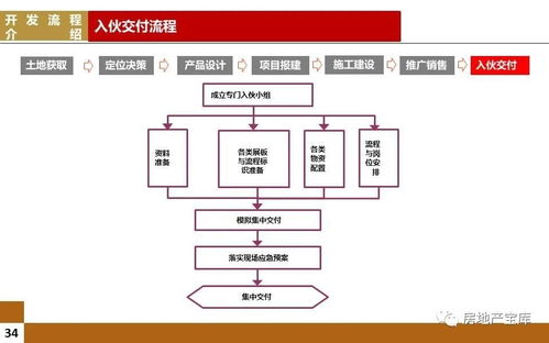 房产直播新手流程怎么写