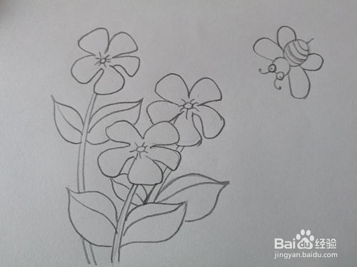 花卉图片大全简笔画
