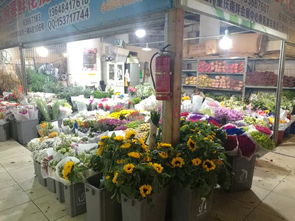 附近最便宜的花店 附近最便宜的花店