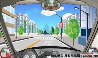 汽车转弯多少圈