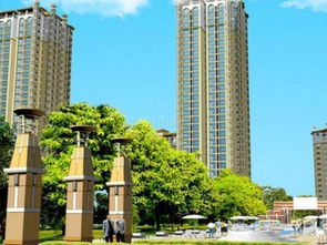 烟台房产怎么选房号