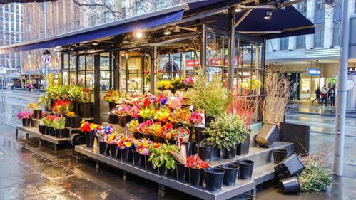 同城鲜花店