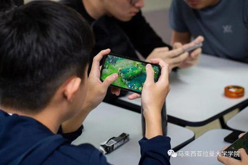 大学游戏互动游戏有哪些