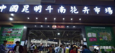 花店去哪里进货