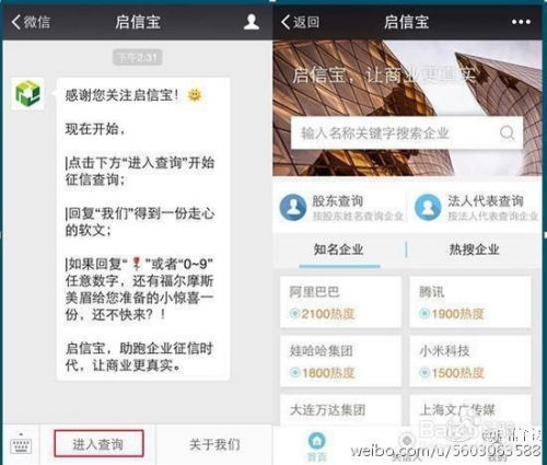 怎么查失信人房产