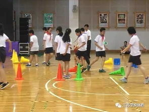 小学武术的游戏有哪些
