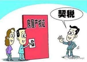 房产契税怎么交纳的