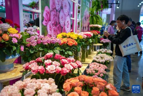 中国花卉网求购信息