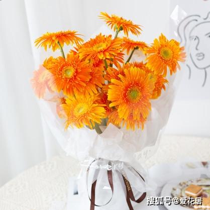 扶郎花花语是什么意思