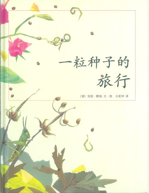 植物妈妈有办法靠什么传播种子