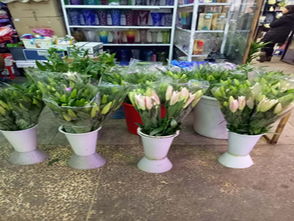 长春鲜花店哪家最好 长春鲜花店哪家最好