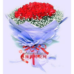红色满天星的花语和寓意