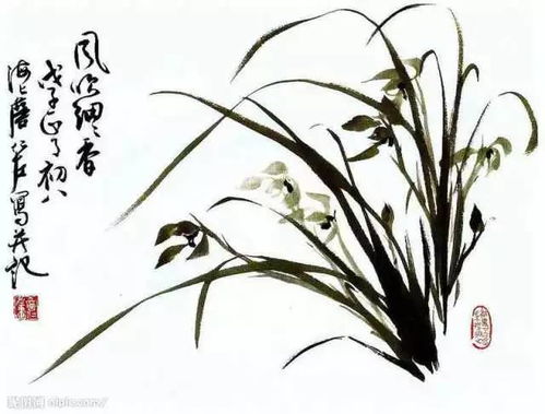 兰花的寓意和象征诗句