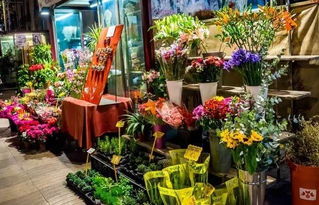 开个花店大概需要投资多少