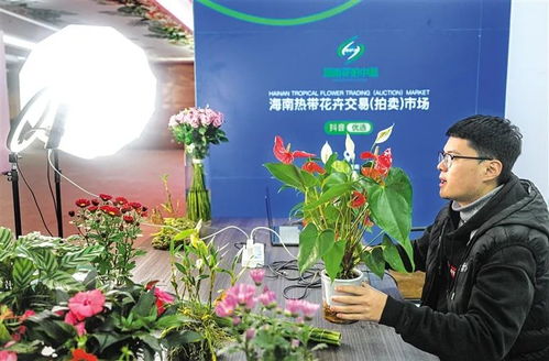 花卉网上交易平台