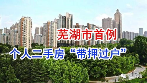 芜湖查房产怎么处理