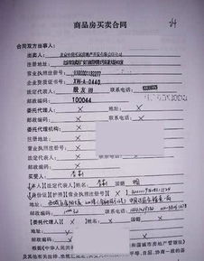 怎么查看房产购买合同