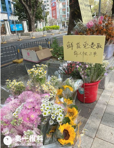 石家庄桥西花店送花