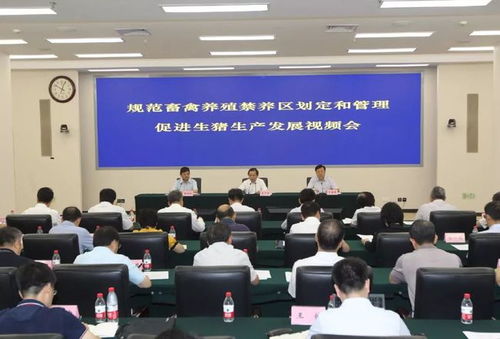 房产开会场面怎么写